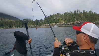 King Salmon On! Landing a king in Alaska 